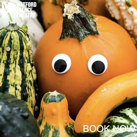 Vickie Holden Halloween Event at Watford Palace Theatre